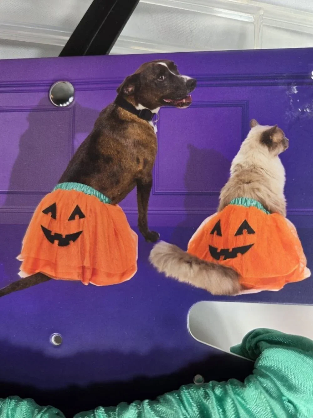 Petco bootique by